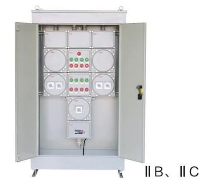 防爆配電箱廠(chǎng)家直銷(xiāo)BSK防爆配電柜 可定制各種非標(biāo)配電箱